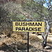 Bushman_paradise