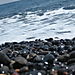 Pebbles_beach