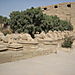 Karnak_temple_sphinxes1