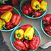 Market7_peppers