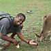 Feeding_kangaroos