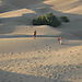 On_the_dunes