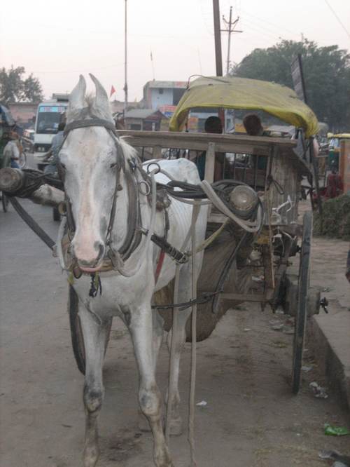 Horse_drawn_cart