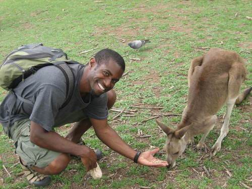 Feeding_kangaroos