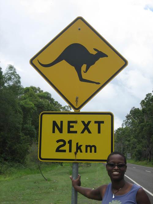 Kangaroo_crossing