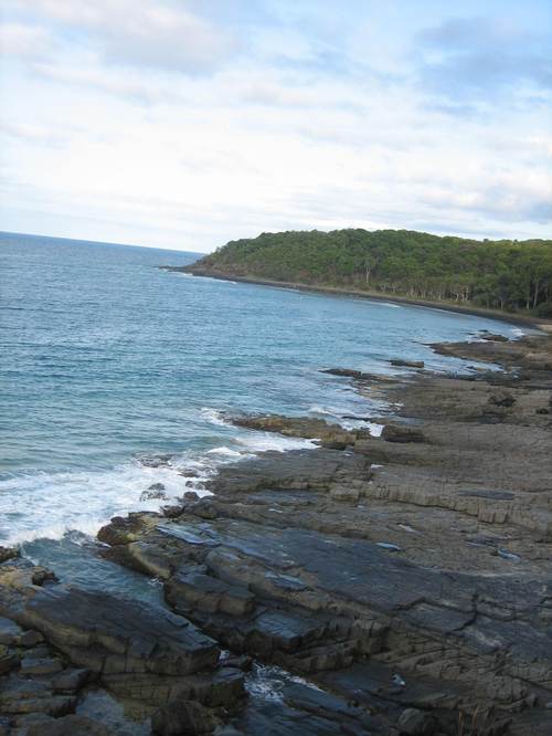 Noosa_beach4