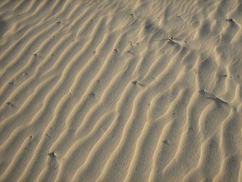 Shifting_sands