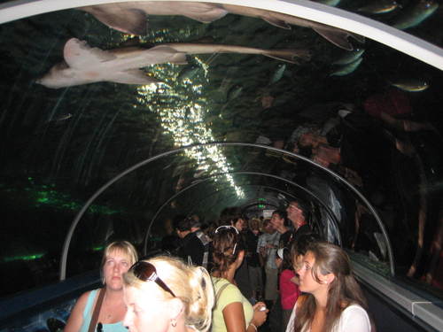 Underwater_tunnel