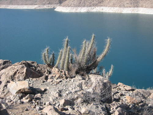 Elqui_valley3