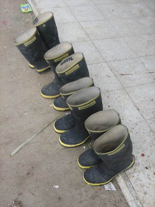 Fishing_boots