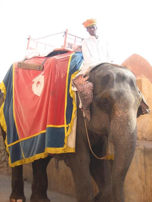 Amber_fort_elephant