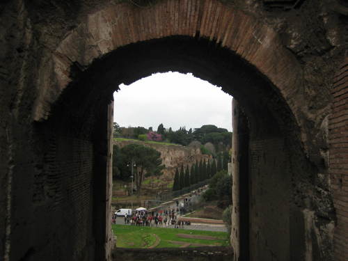 Coliseum8