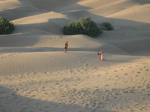 On_the_dunes