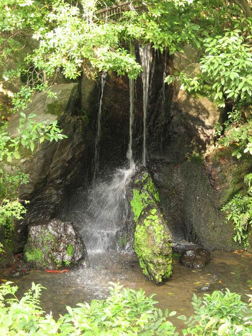 Kinkakuji6