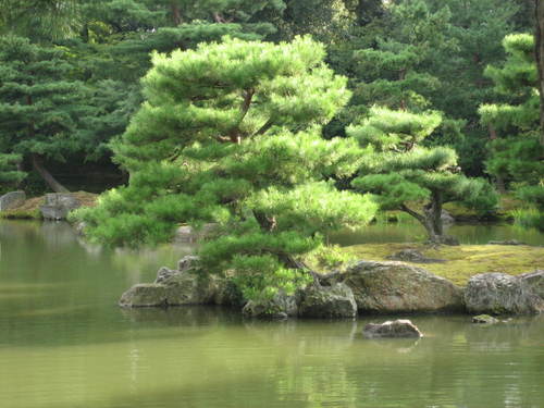 Kinkakuji_temple4