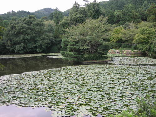 Ryoanji_garden3