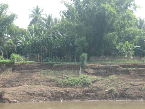 Nam_khan_vegetable_fields