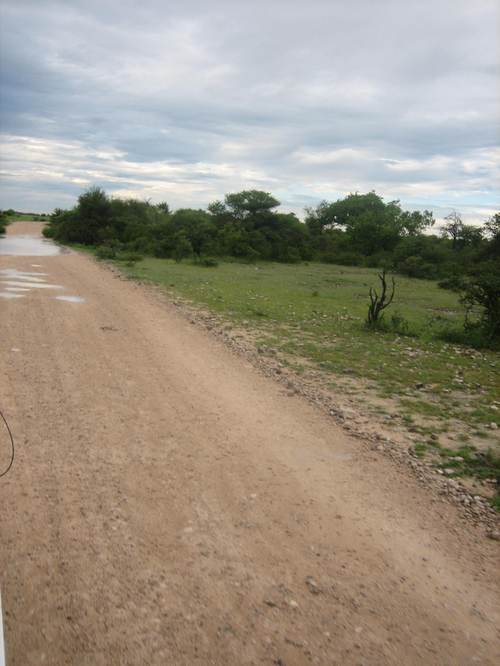 Etosha_road