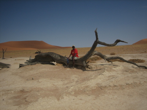 Deadvlei3