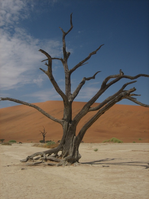 Deadvlei5