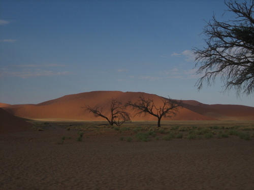 Desert_morning