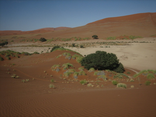 Sussosvlei2