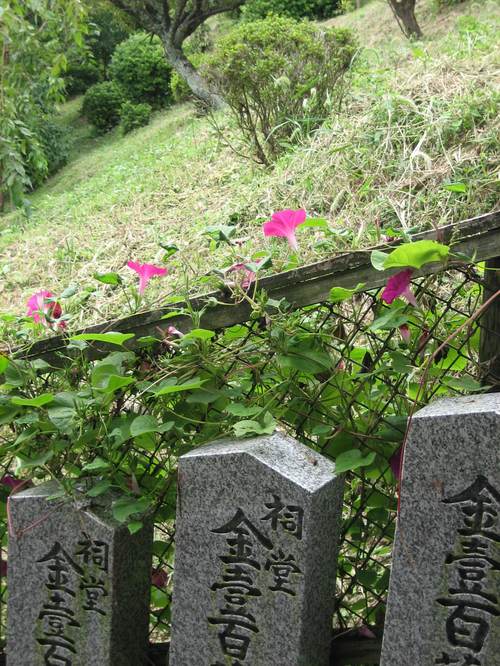 Nara_flowers_and_markers1