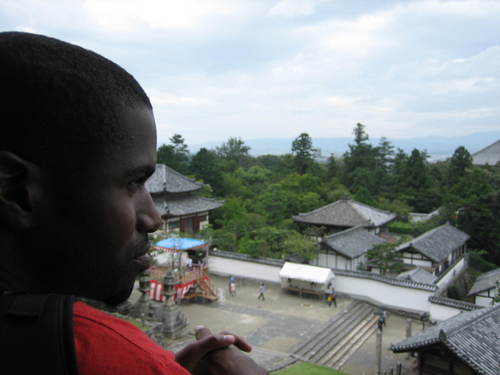 Temple_rooftops_nara_park