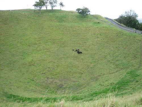 Auckland_mt_eden1