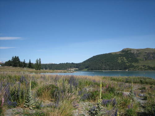 Lake_tekapo7