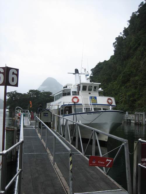 Milford_cruise