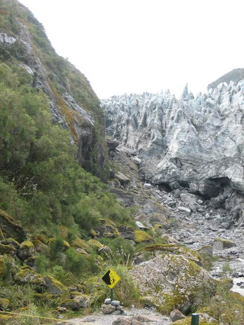 Franz_josef_glacier6