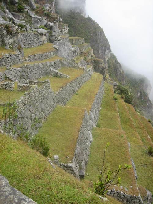 Agriculture_terraces