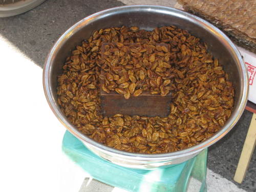 Market3_boiled_larvae