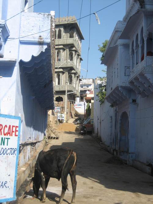 Pushkar2