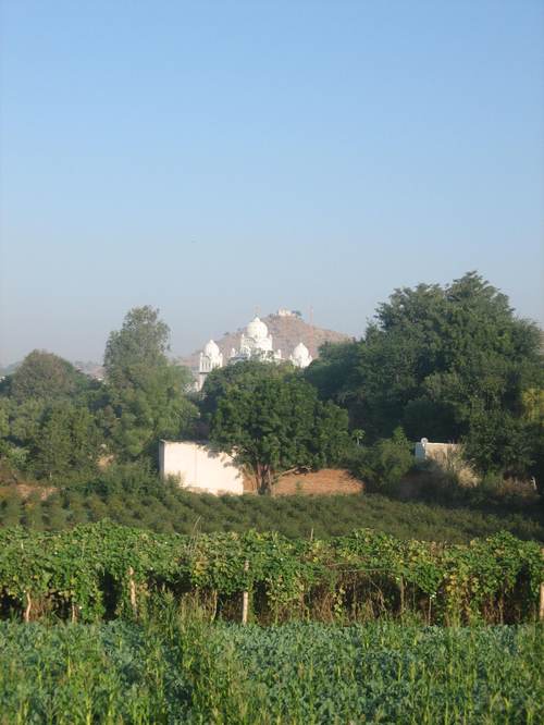 View_from_pushkar_hotel