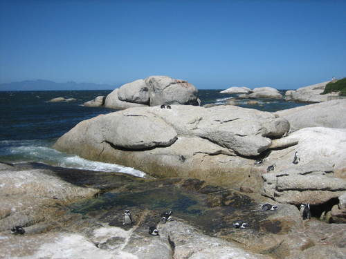 Boulders_beach3