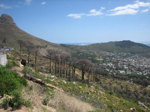 Table_mountain1