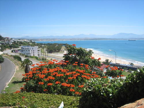 Mossel_bay1