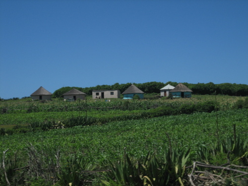 Xhosa_houses1