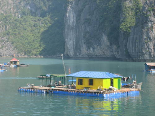 Floating_house